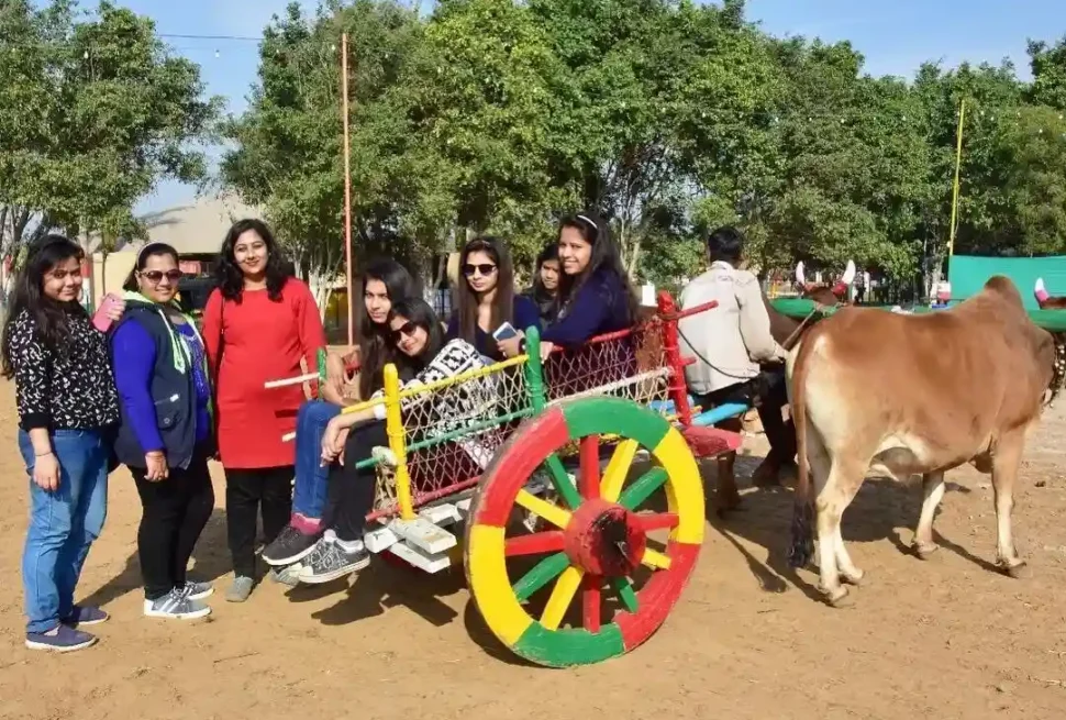 Best Places to Visit for Teachers Outings
