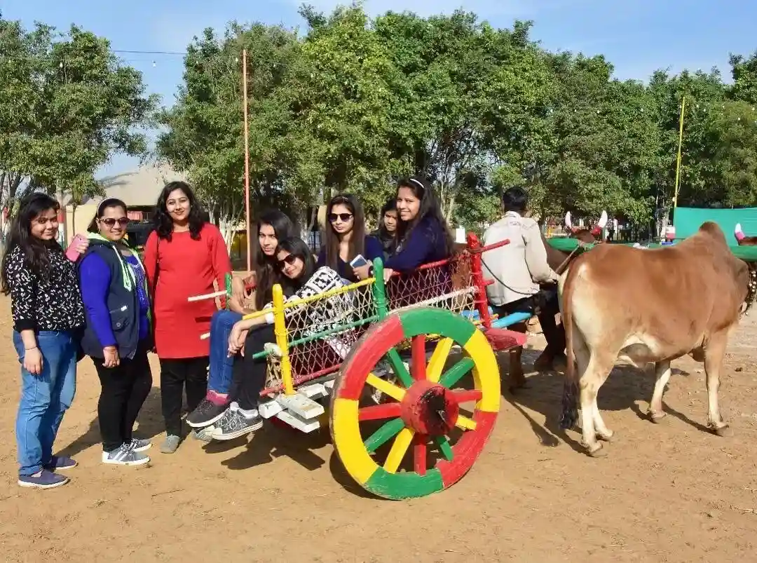 Best Places to Visit for Teachers Outings