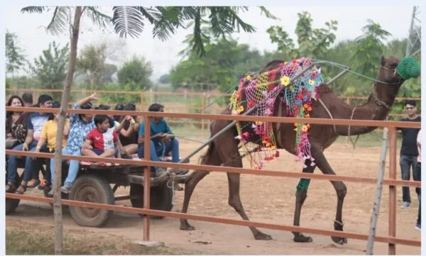 village theme park in gurgaon madhavgarh